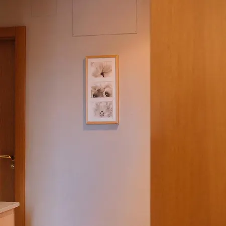 Elegancia En La Plaza De By